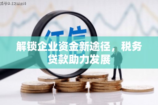 平泉解锁企业资金新途径，税务贷款助力发展