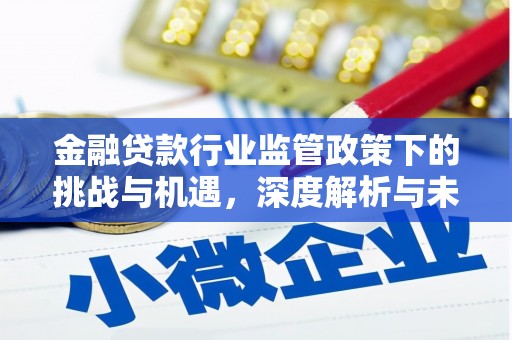 鄯善金融贷款行业监管政策下的挑战与机遇，深度解析与未来展望