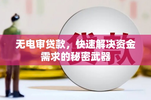 通化无电审贷款，快速解决资金需求的秘密武器