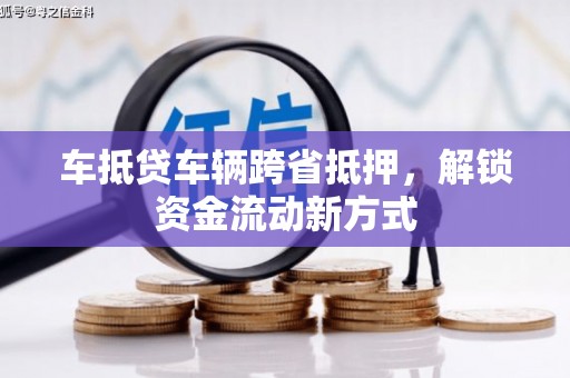 武定车抵贷车辆跨省抵押，解锁资金流动新方式