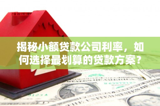 郧西揭秘小额贷款公司利率，如何选择最划算的贷款方案？