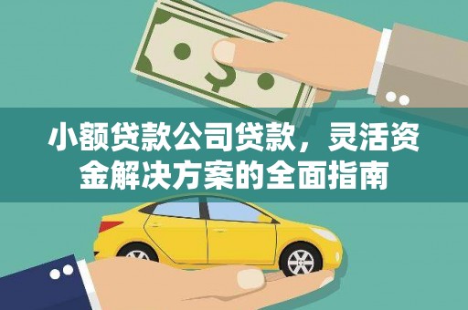 鄯善小额贷款公司贷款，灵活资金解决方案的全面指南