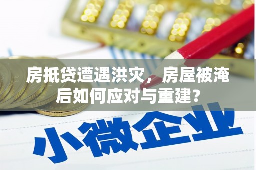 平顶山房抵贷遭遇洪灾，房屋被淹后如何应对与重建？