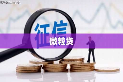 江源微粒贷