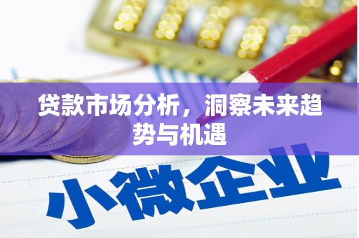 轮台贷款市场分析，洞察未来趋势与机遇