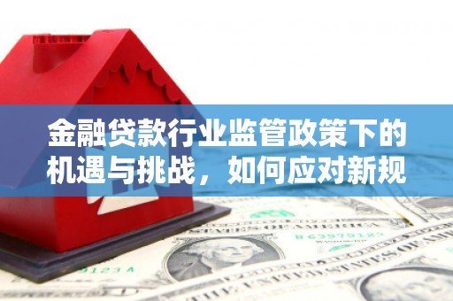 轮台金融贷款行业监管政策下的机遇与挑战，如何应对新规？