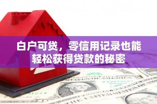 新竹白户可贷，零信用记录也能轻松获得贷款的秘密