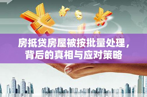 武威房抵贷房屋被按批量处理，背后的真相与应对策略