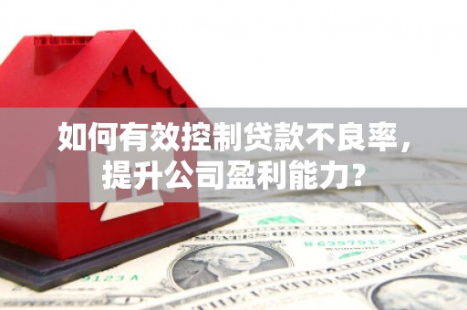 周村如何有效控制贷款不良率，提升公司盈利能力？