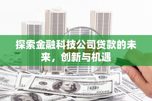 天镇探索金融科技公司贷款的未来，创新与机遇