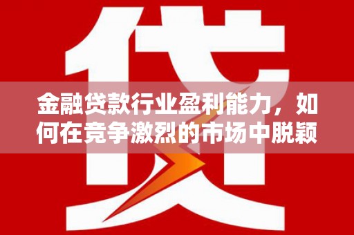 连云金融贷款行业盈利能力，如何在竞争激烈的市场中脱颖而出？