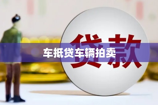 九台车抵贷车辆拍卖
