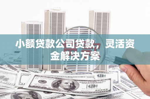 山上小额贷款公司贷款，灵活资金解决方案