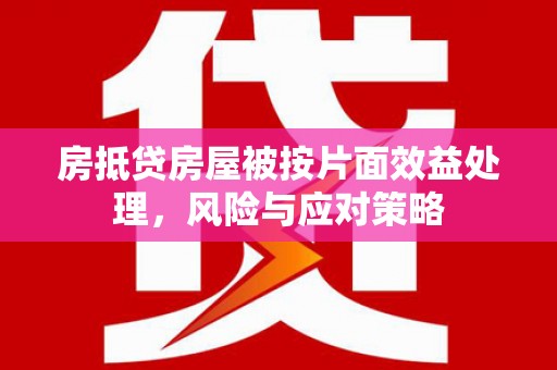 嘉黎房抵贷房屋被按片面效益处理，风险与应对策略