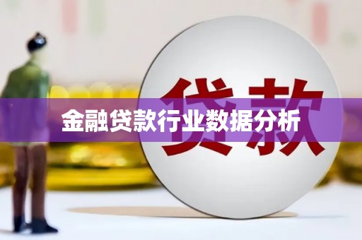 南涧金融贷款行业数据分析