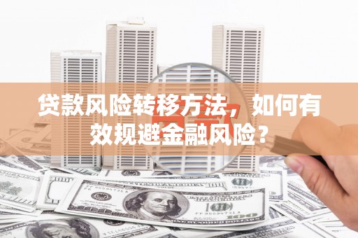 始兴贷款风险转移方法，如何有效规避金融风险？