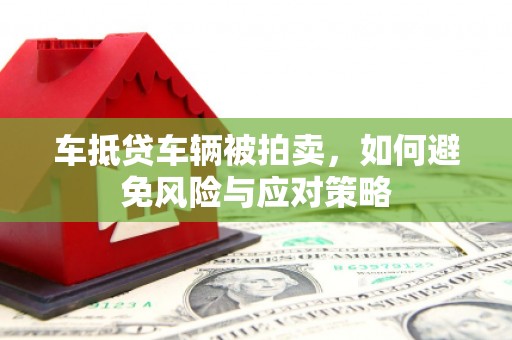 紫金车抵贷车辆被拍卖，如何避免风险与应对策略