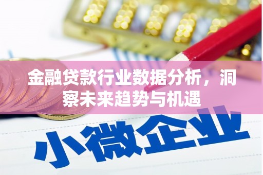龙岩金融贷款行业数据分析，洞察未来趋势与机遇