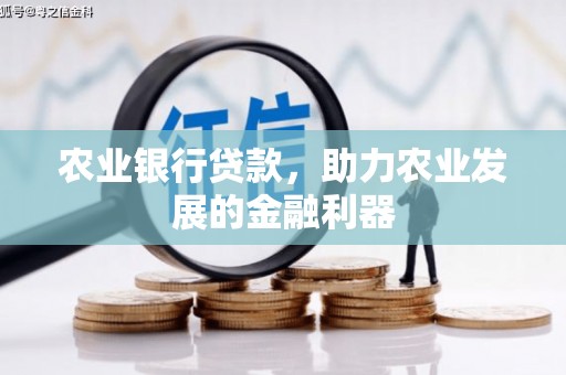 嫩江农业银行贷款，助力农业发展的金融利器