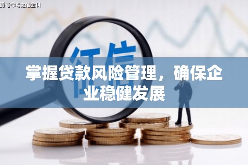 安平掌握贷款风险管理，确保企业稳健发展