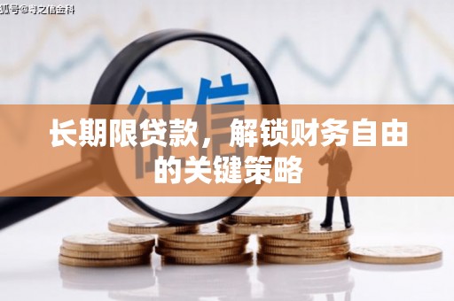 巧家长期限贷款，解锁财务自由的关键策略