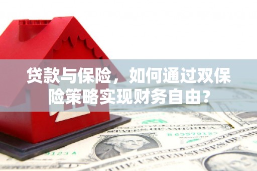 广南贷款与保险，如何通过双保险策略实现财务自由？