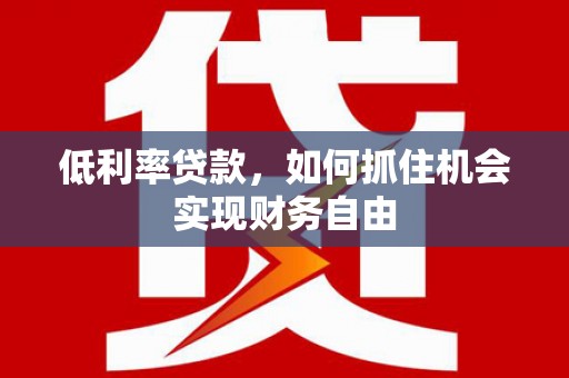 河口低利率贷款，如何抓住机会实现财务自由