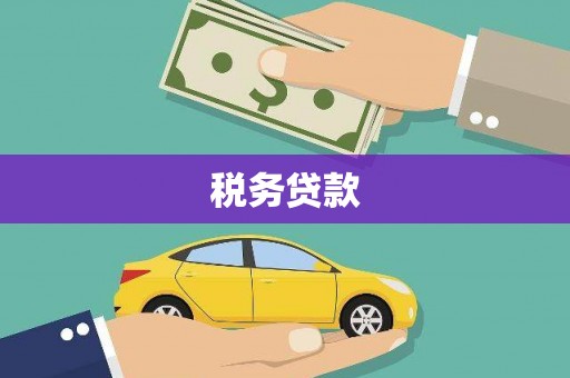 炎陵税务贷款