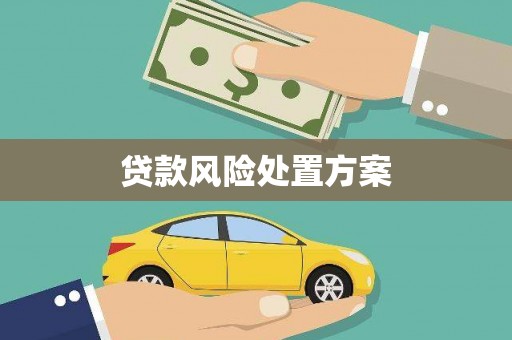 火炬贷款风险处置方案