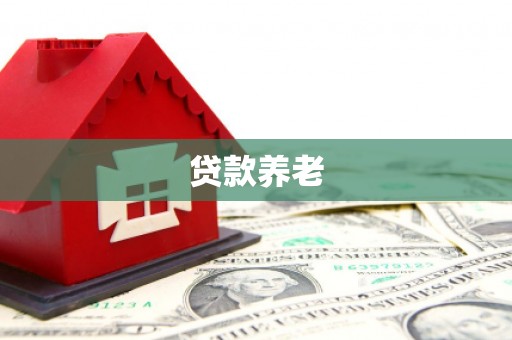 保税区贷款养老