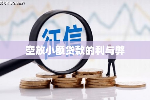 林周空放小额贷款的利与弊