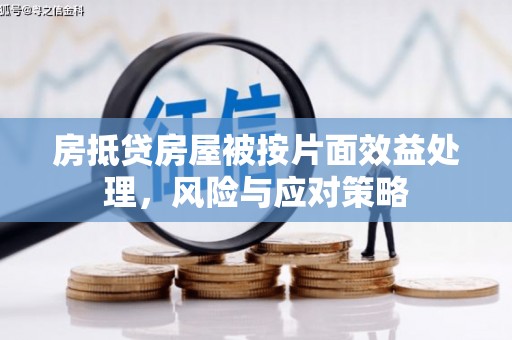 郑州房抵贷房屋被按片面效益处理，风险与应对策略