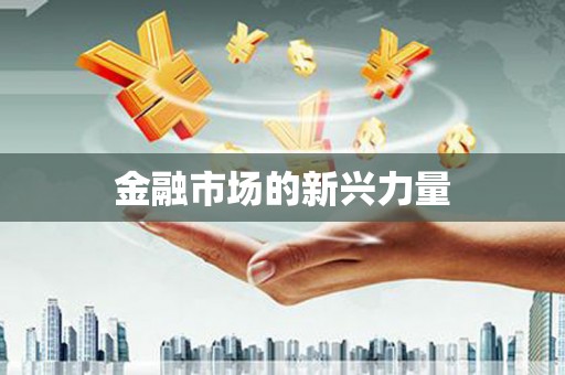 八里金融市场的新兴力量