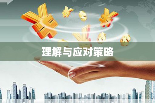 八里理解与应对策略