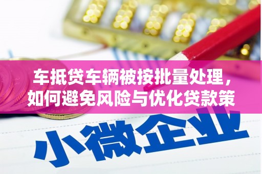 民权车抵贷车辆被按批量处理，如何避免风险与优化贷款策略