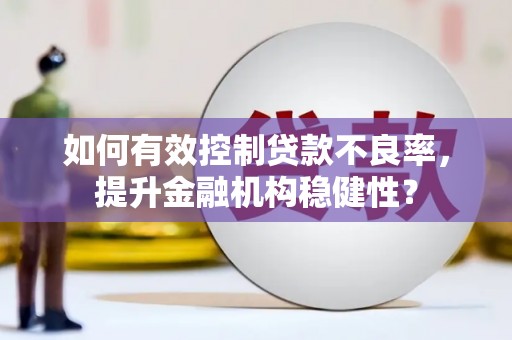 比如如何有效控制贷款不良率，提升金融机构稳健性？
