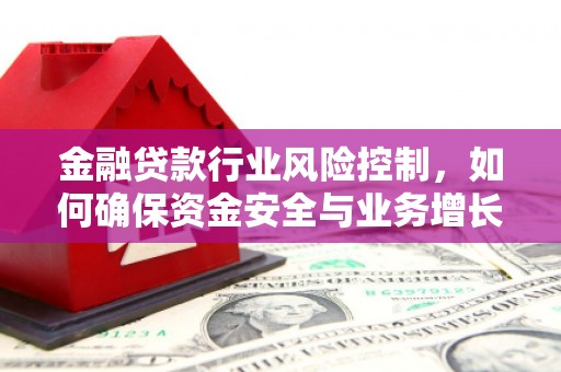 东阳金融贷款行业风险控制，如何确保资金安全与业务增长