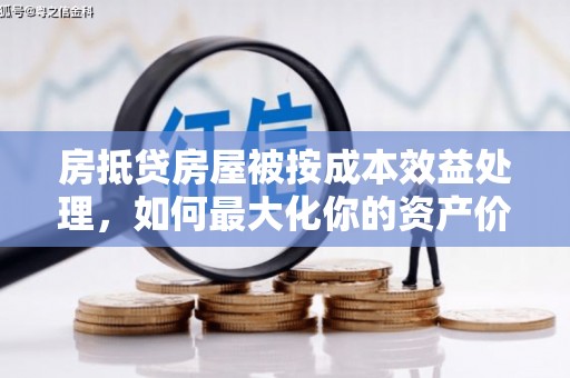 阿拉山口房抵贷房屋被按成本效益处理，如何最大化你的资产价值？