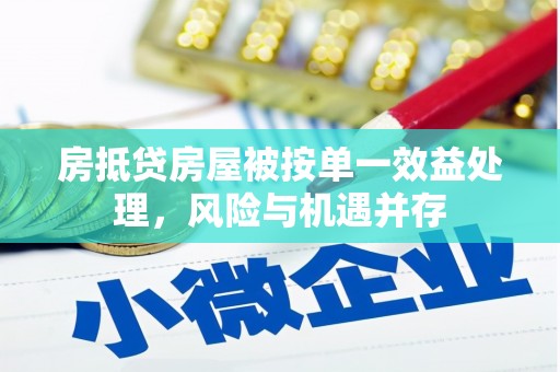 南沙房抵贷房屋被按单一效益处理，风险与机遇并存