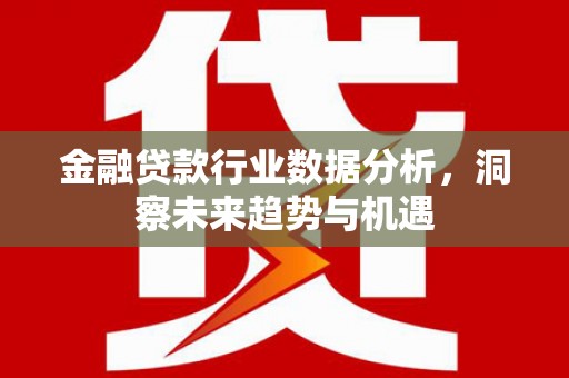 南沙金融贷款行业数据分析，洞察未来趋势与机遇