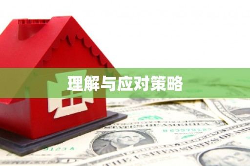 临淄理解与应对策略