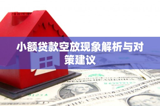 临淄小额贷款空放现象解析与对策建议
