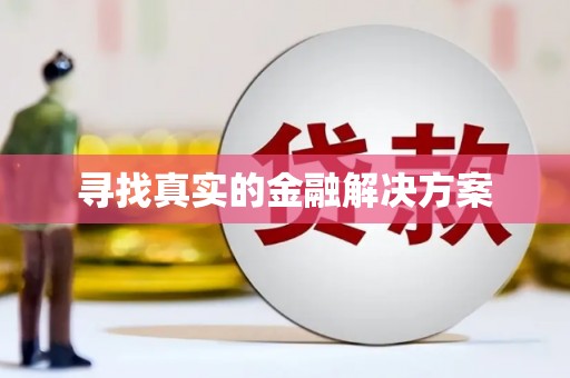 柳河寻找真实的金融解决方案