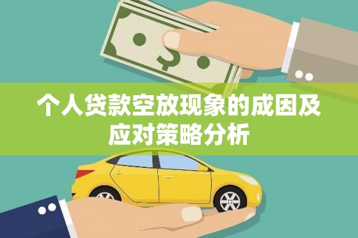纳溪个人贷款空放现象的成因及应对策略分析