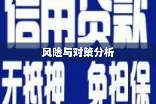 龙游风险与对策分析