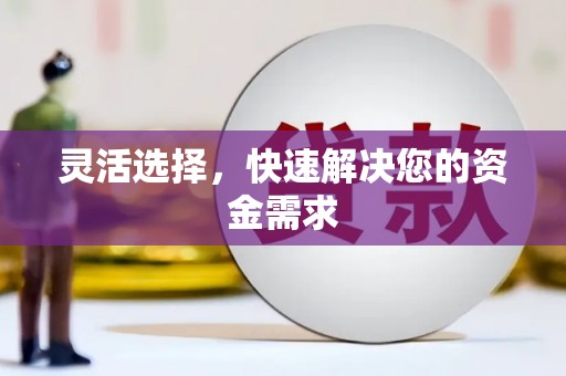 车城灵活选择，快速解决您的资金需求