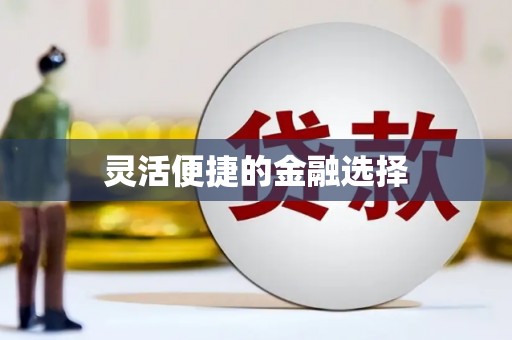 翁牛特旗灵活便捷的金融选择