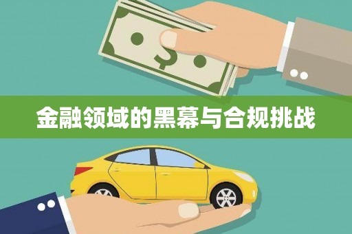 罗甸金融领域的黑幕与合规挑战