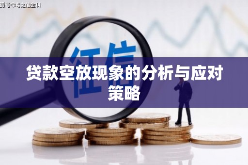 盱眙贷款空放现象的分析与应对策略