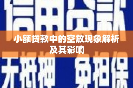 水林小额贷款中的空放现象解析及其影响